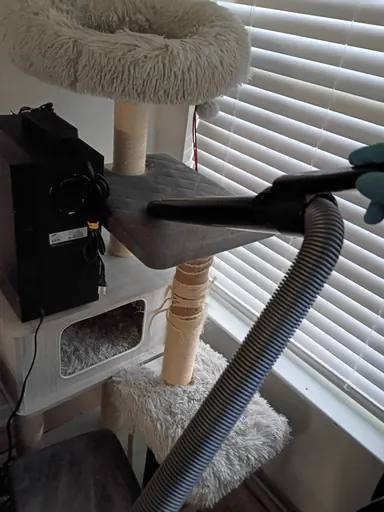 Client photo of a cat tree being vacuumed