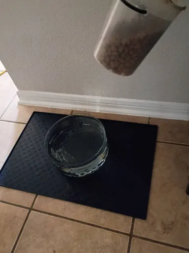 Pet bowl on an interior mat