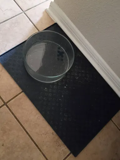 Interior floor mat and pet bowl