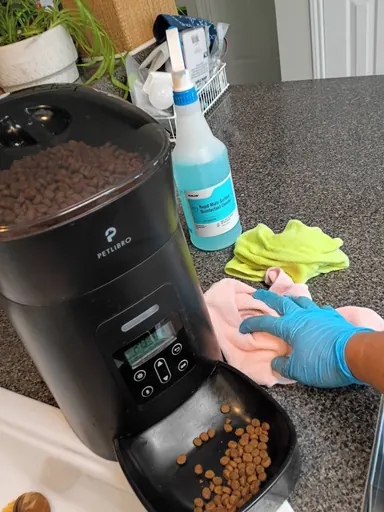 Gloved hand wiping a counter beside a pet feeder