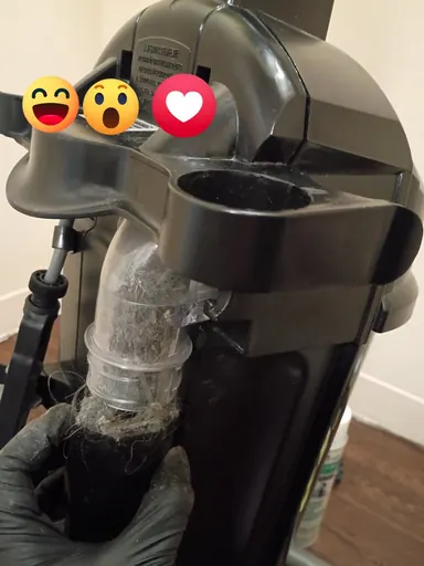 Client photo showing collected hair in a vacuum canister