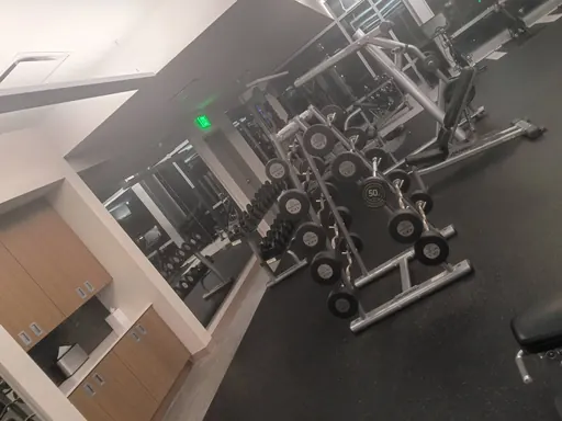 Gym interior and equipment