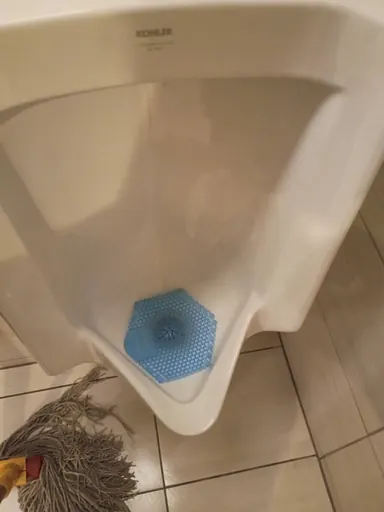 Toilet during cleaning