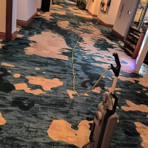 Carpet and vacuum in an interior space